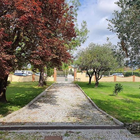 La Casetta Di Silvio Capezzano Pianore Exteriör bild