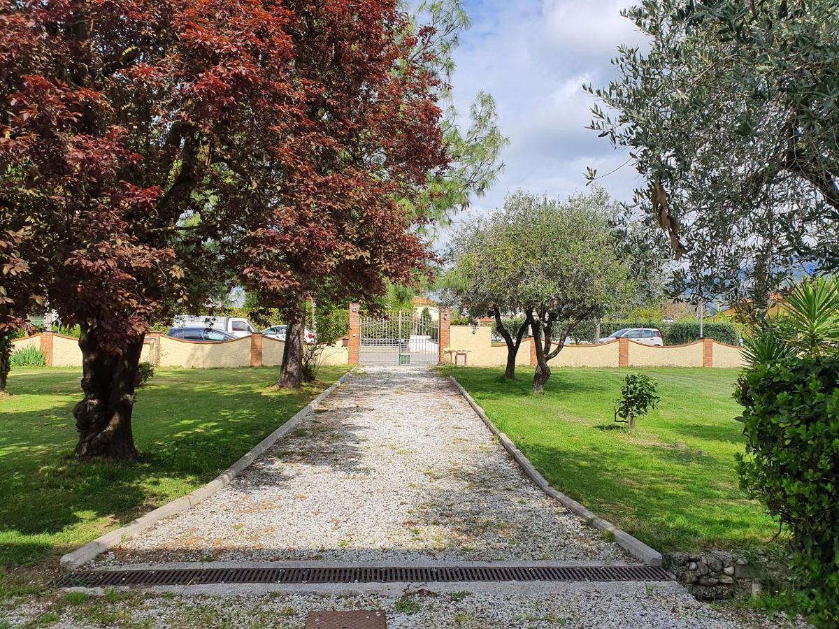 La Casetta Di Silvio Capezzano Pianore Exteriör bild