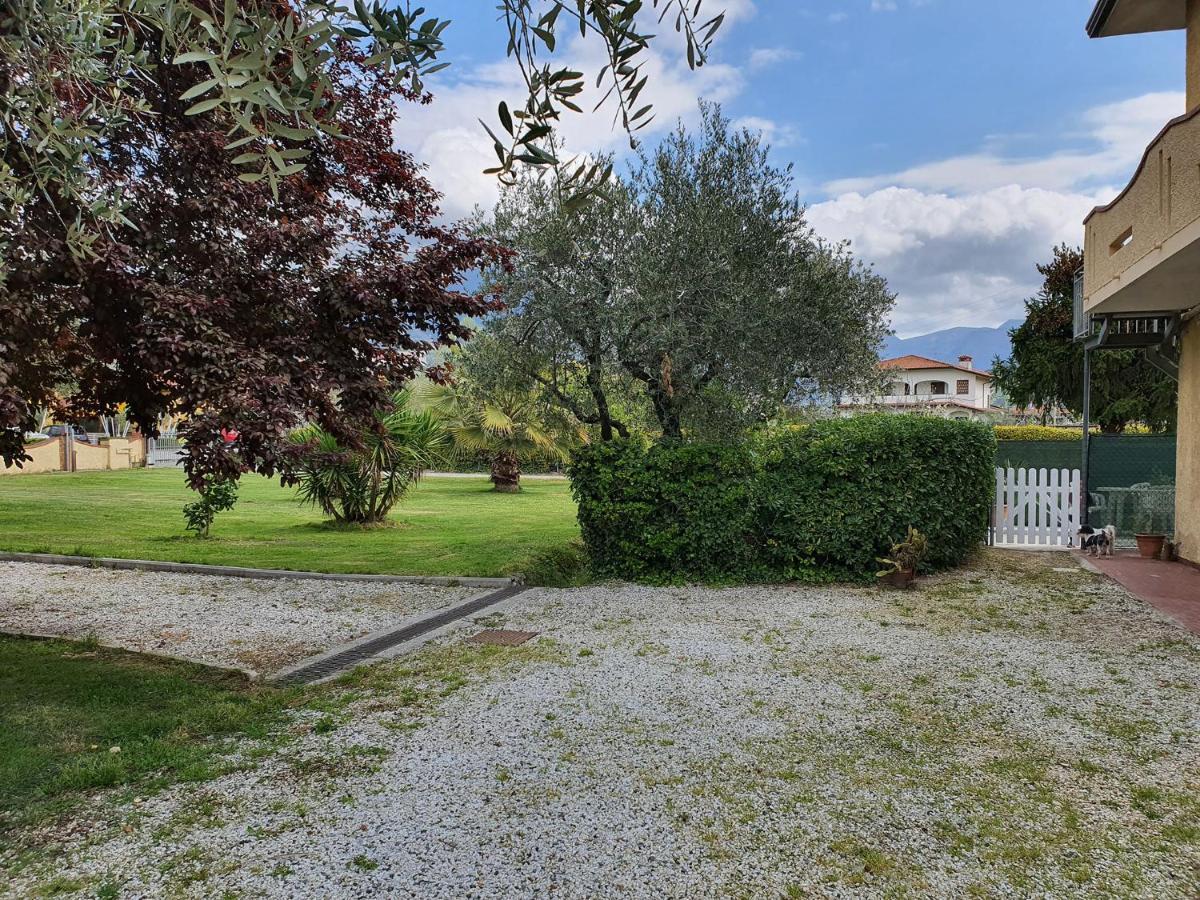 La Casetta Di Silvio Capezzano Pianore Exteriör bild